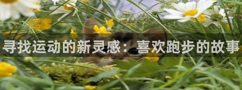 vsport体育官网下载平台注册流程视频：寻找运动的