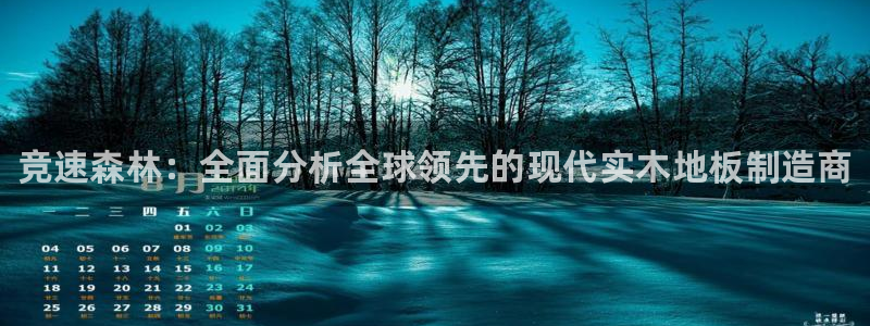 德国vsport体育官方正版app集团