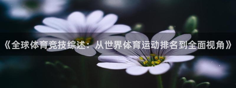 vsport体育官网下载平台是正规平台吗知乎：《全球体育竞技