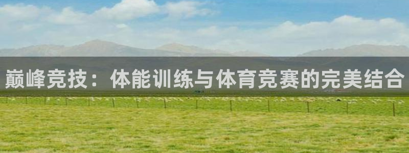vsport体育官网下载平台注册要钱吗安全吗：巅峰竞技：体能