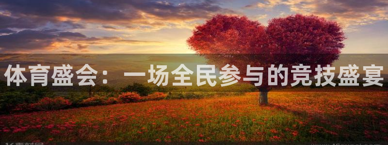 vsport体育官网下载平台是正规平台吗安全吗：体育盛会：一