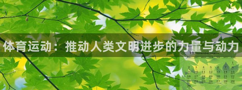 vsport体育官方正版app集团官网网址