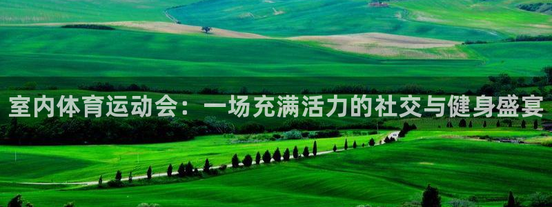 vsport体育官方正版app科技