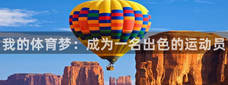vsport体育官网下载是干嘛的公司：我的体育梦：成