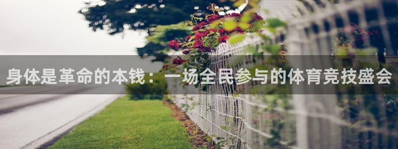 vsport体育官方正版app五金厂：身体是革命的本