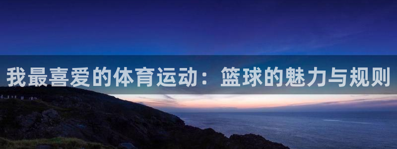 vsport体育官方正版app代理：我最喜爱的体育运