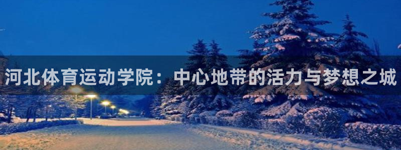 海南vsport体育官网下载：河北体育运动学院：中心