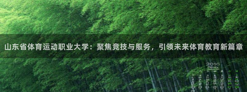 vsport体育官网下载平台注册流程图：山东省体育运