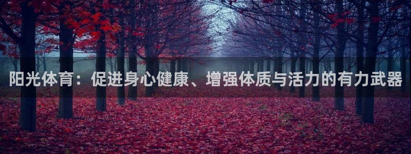 vsport体育官方正版app集团官网网址：阳光体育