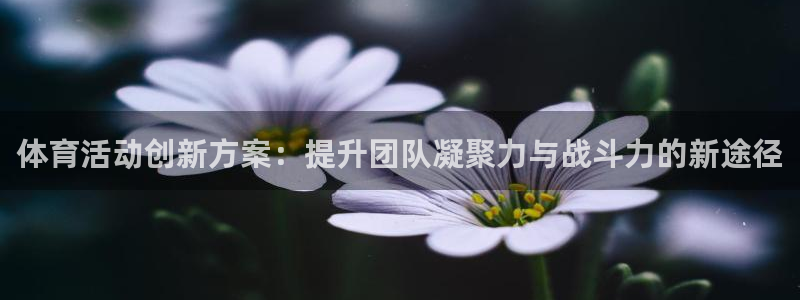 vsport体育官网下载招商电话地址是多少：体育活动
