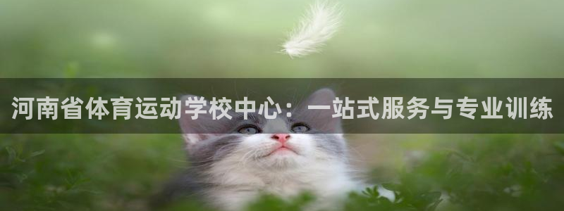 vsport体育官方正版app科技：河南省体育运动学