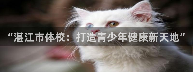 vsport体育官网下载平台注册流程视频：“湛江市体