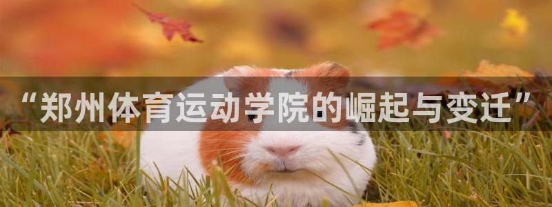 vsport体育官网下载招商电话是多少号码：“郑州体