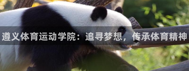 vsport体育官方正版app官方：遵义体育运动学院：追寻梦