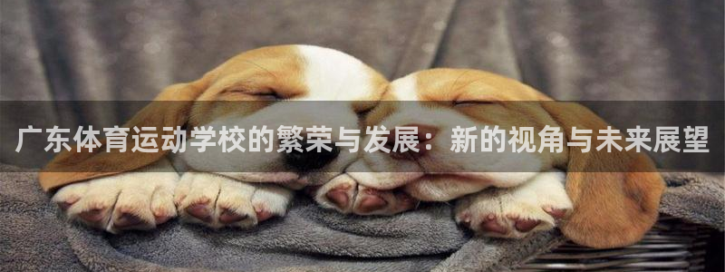 海南vsport体育官网下载发展怎么样：广东体育运动学校的繁
