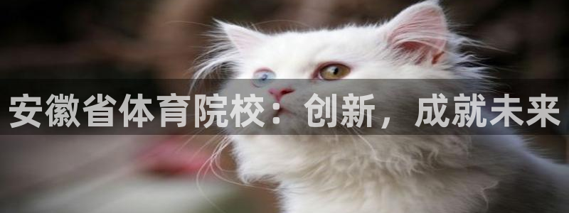 vsport体育官网下载软件：安徽省体育院校：创新，成就未来
