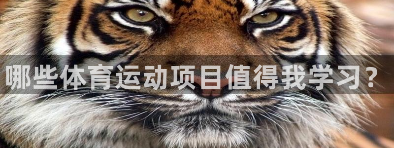 vsport体育官网下载招商电话号码查询是多少