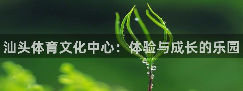 vsport体育官方正版app娱乐：汕头体育文化中心：体验与