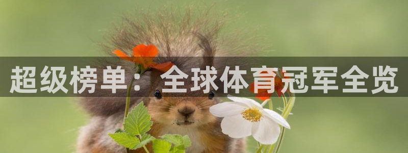 vsport体育官网下载：超级榜单：全球体育冠军全览