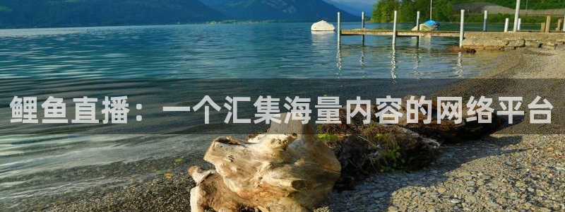 nba球神直播：鲤鱼直播：一个汇集海量内容的网络平台