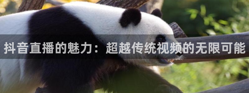 球神直播免费直播：抖音直播的魅力：超越传统视频的无限可能