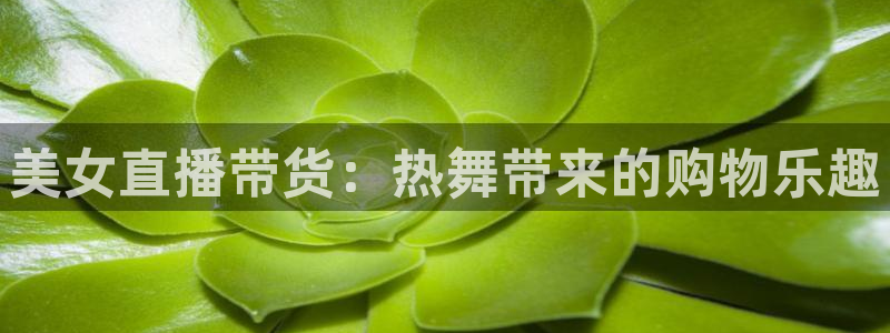 球神nba直播：美女直播带货：热舞带来的购物乐趣