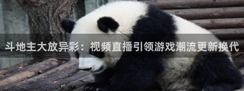 球神直播体育免费直播：斗地主大放异彩：视频直播引领游戏潮流更新换代