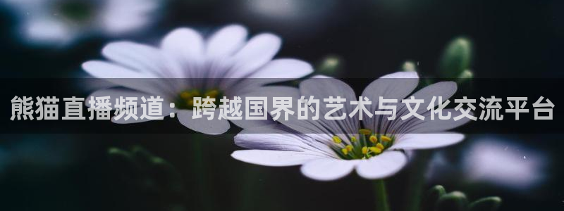 球神直播体育在线观看：熊猫直播频道：跨越国界的艺术与文化交流平台